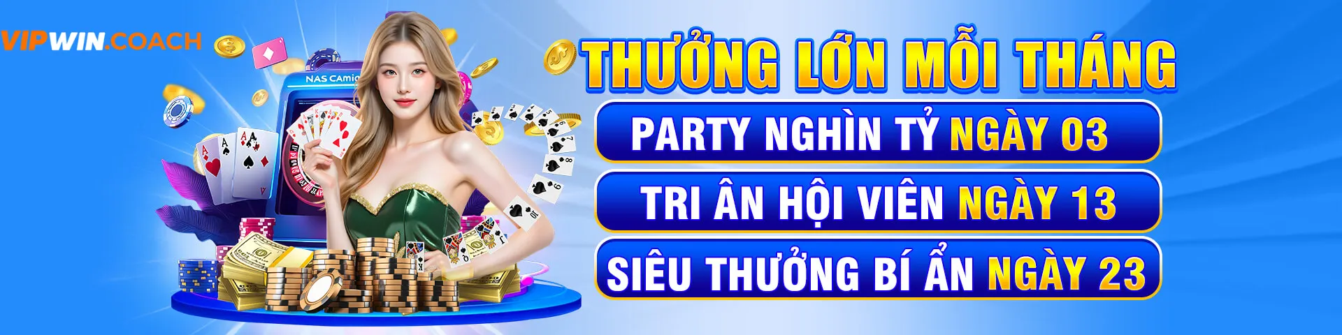 banner vipwin